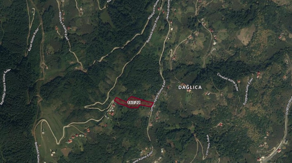 TRABZON BEŞİKDÜZÜ DAĞLICA MAHALLESİNDE 8.103 M²  FINDIK BAHÇEMİZ SATILIKTIR. - TRABZON BEŞİKDÜZÜ fotoğraf 6